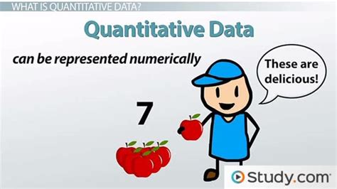 what does quantitative data mean